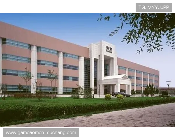 新濠国际：以卓越服务赢得客户信赖的行业领军者