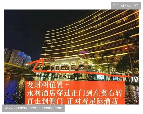 澳门永利皇宫发财树的最佳浇水与施肥时间安排指南 澳门永利皇宫发财树的最佳浇水与施肥时间安排指南