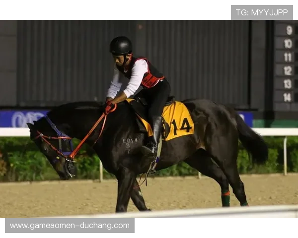 澳门赛马今天直播平台推荐及赛事直播观看指南 澳门赛马今天直播平台推荐及赛事直播观看指南