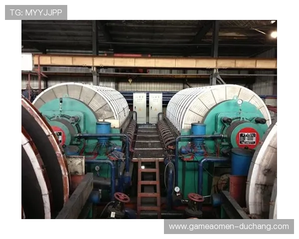 DB真人旗舰集团:推动行业规范化发展的责任与未来发展布局 DB真人旗舰集团:推动行业规范化发展的责任与未来发展布局