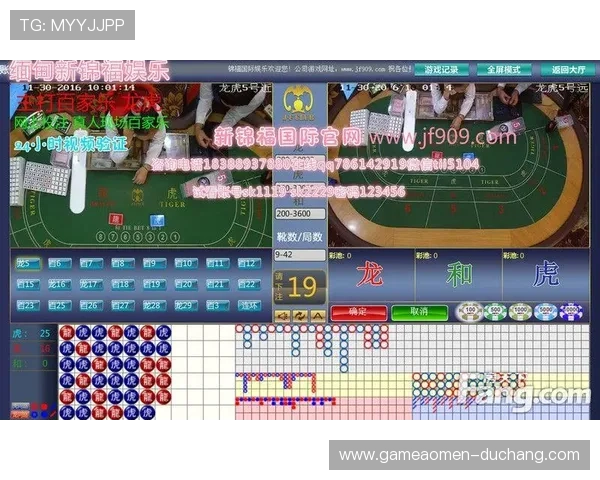 如何判断真人龙虎平台是否可靠安全建议