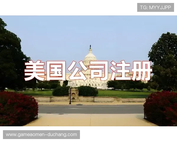 汇彩控股有限公司进入香港资本市场的具体操作步骤与流程指南